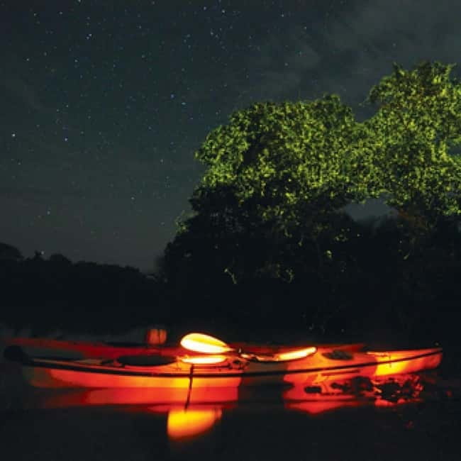 Bohol: Firefly Watching Shared Tour - Key things to know before you go