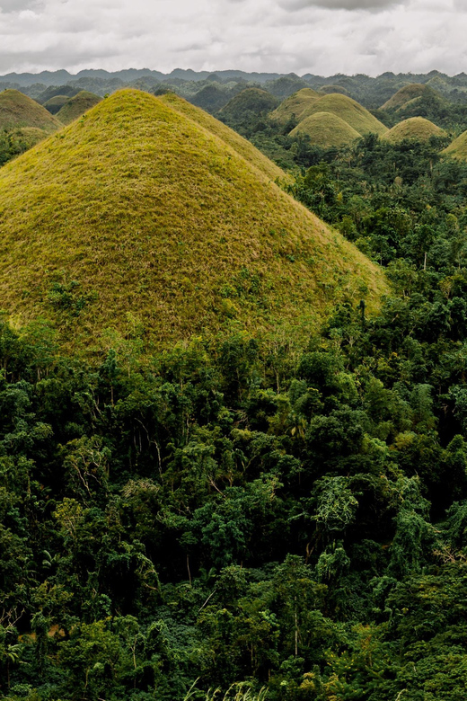 Bohol: Full Day Countryside Tour w Loboc River Lunch - Man-Made Forest and Chocolate Hills: Photos, Timing, and Weather Reality