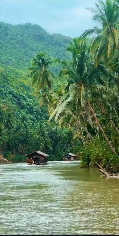 Bohol: Guided Chocolate Hills & Tarsiers Tour - What the guides do that makes the difference