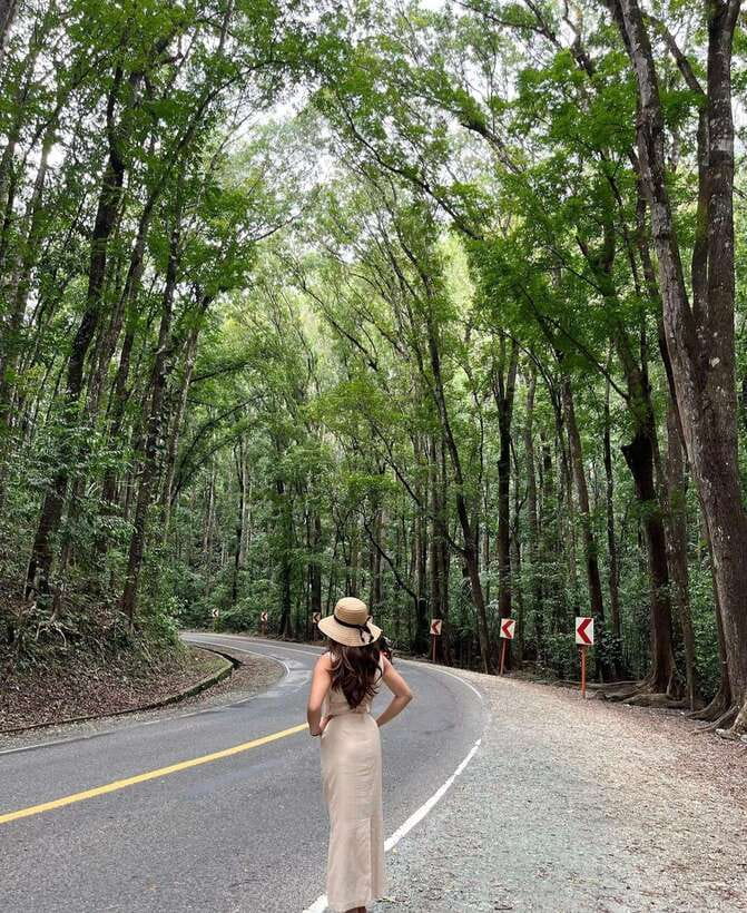 Bohol: Guided Chocolate Hills & Tarsiers Tour - Pickup in Panglao, meeting points in Tagbilaran and Loboc