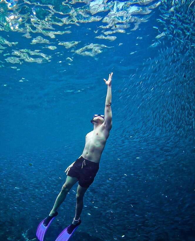 Bohol: Guided Sardine Reef Snorkeling Experience - Gear, possible add-ons, and one thing to confirm