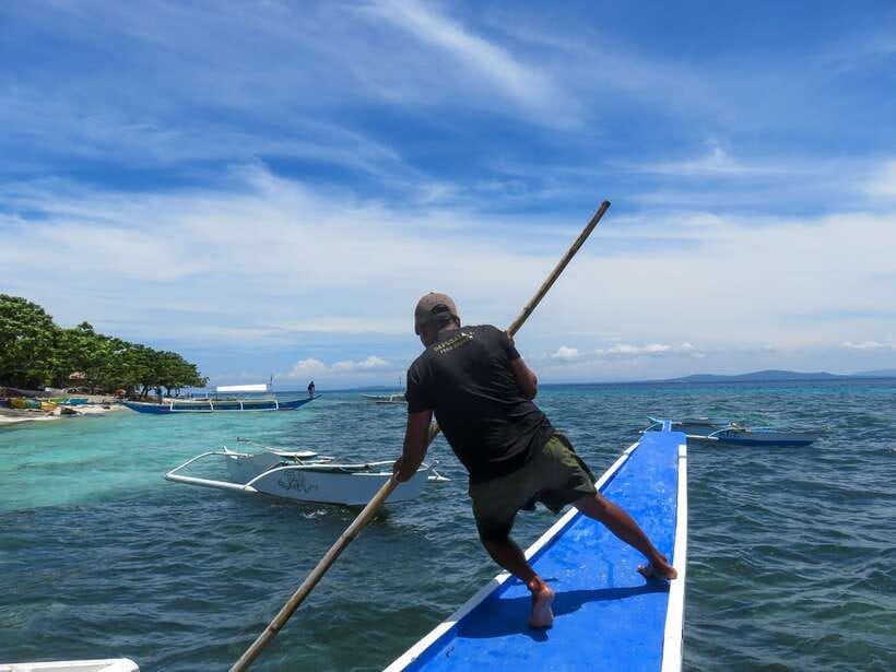 Bohol: Pamilacan Island Dolphin/Turtle Watching Tour & Lunch - Key Things You’ll Notice on This Tour