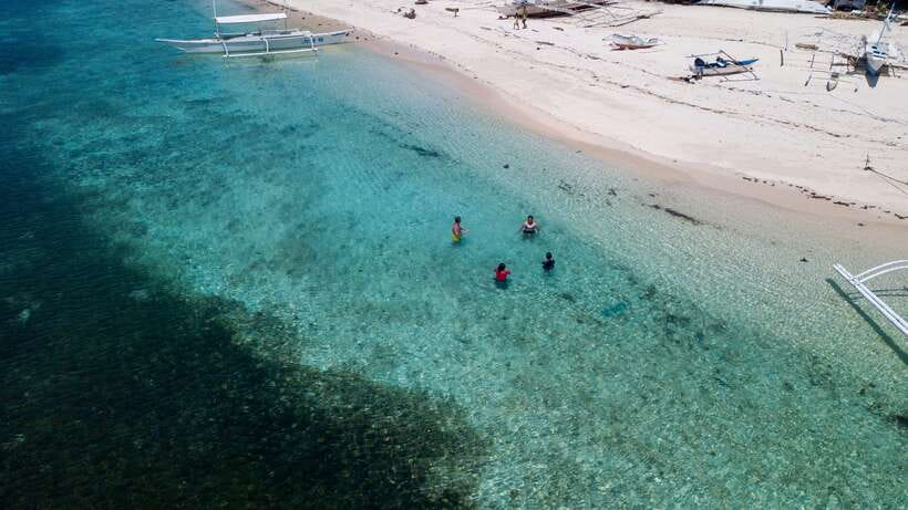 Bohol: Pamilacan Island Dolphin/Turtle Watching Tour & Lunch - What’s Included, What’s Not, and Why It Changes the Value