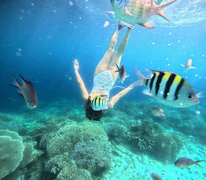 Bohol: Panglao Island Hopping Tour with Snorkeling (Private) - Dolphin Watching at Sunrise: Exciting, but Bring Patience