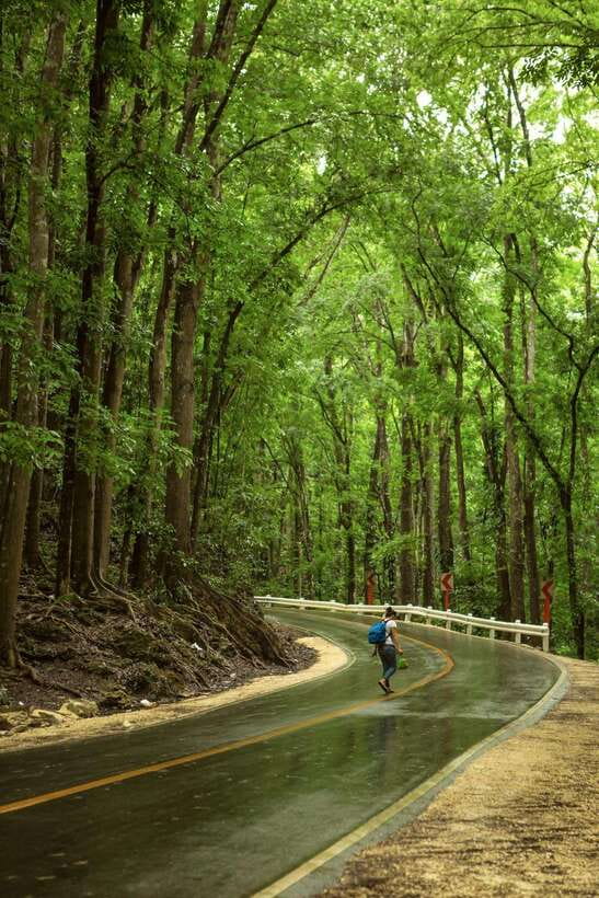 Bohol: Premium Chocolate Hills, Tarsiers & River Experience - How this premium Bohol route feels different