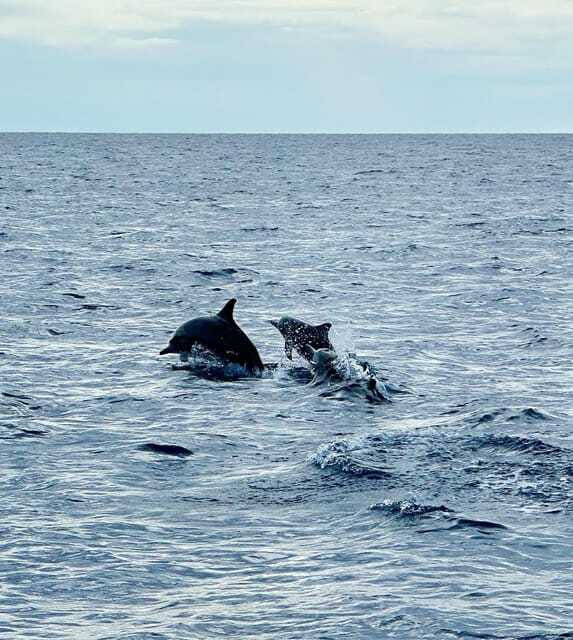 Bohol PREMIUM PAMILACAN Island Tour - Island hopping that still feels like time on an island