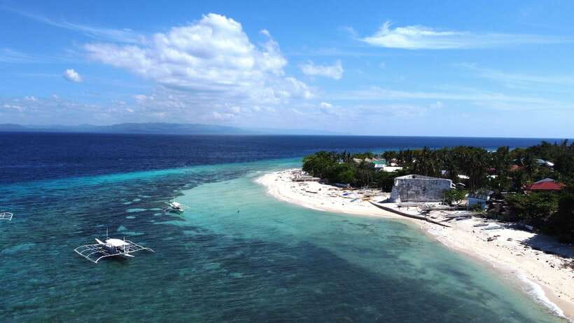 Bohol PREMIUM PAMILACAN Island Tour - Dolphin watching in Bohol: great odds, smart expectations