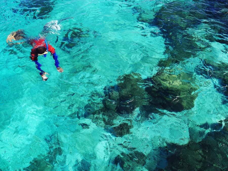 Bohol: Private Balicasag Tour with extra snorkeling time - Who Should Book This Private Balicasag Tour?