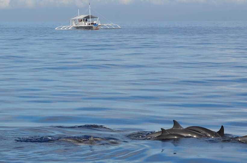 Bohol: Private Balicasag Tour with extra snorkeling time - FAQ