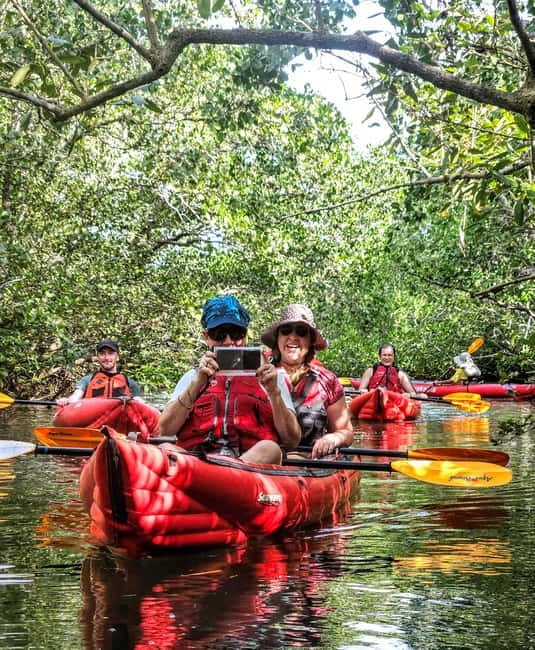 Bohol: SUSTAINABLE Mangrove Tunnels & Firefly Kayaking trail - Getting to the Abatan River: Transfers That Matter More Than You Think