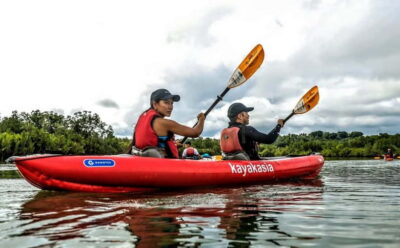 Bohol: SUSTAINABLE Mangrove Tunnels & Firefly Kayaking trail