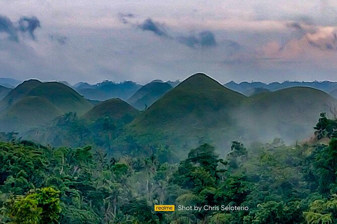 BOHOL Tour 2026 - Chocolate Hills, Tarsier and River Cruise Lunch - Tarsier Conservation Area: Your Best Chance at a Close Encounter