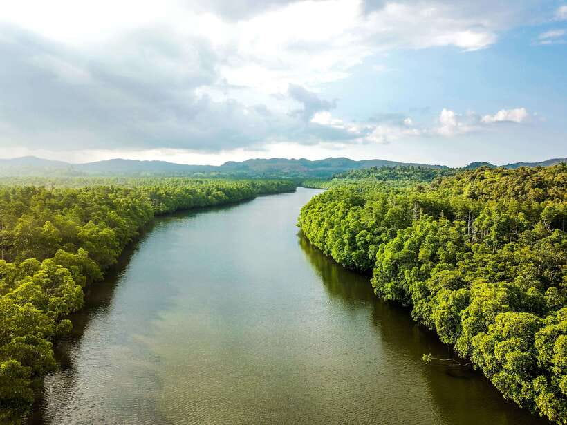 Bohol Tour Package: 3-Day Paradise Adventure - Tarsier Conservation Area and Bilar’s Man-made Forest route