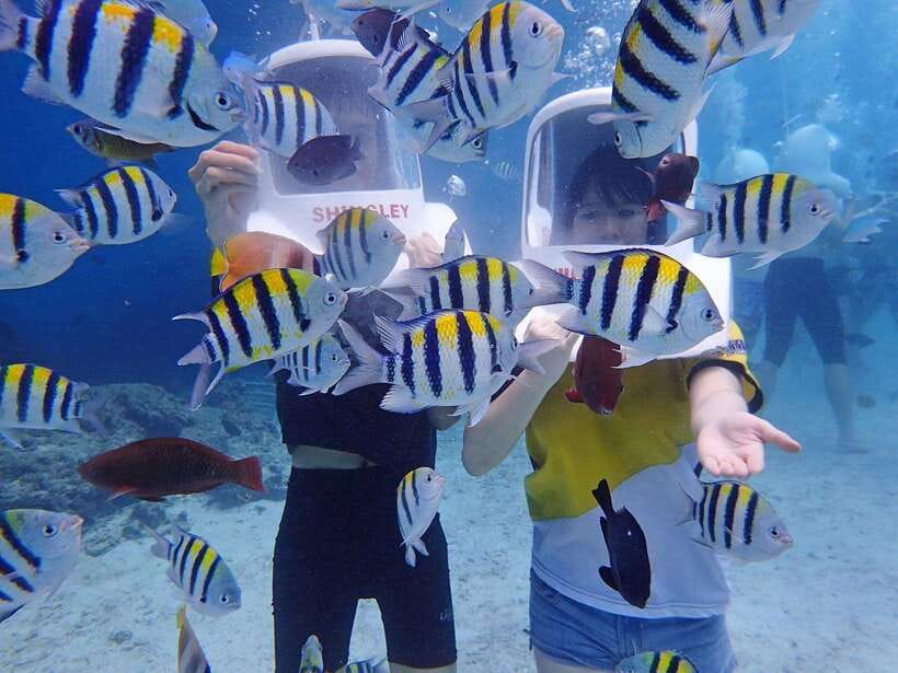 Boracay: Aquanaut Adventure with Photos and Videos - Time and price: is $27 for 15 minutes good value
