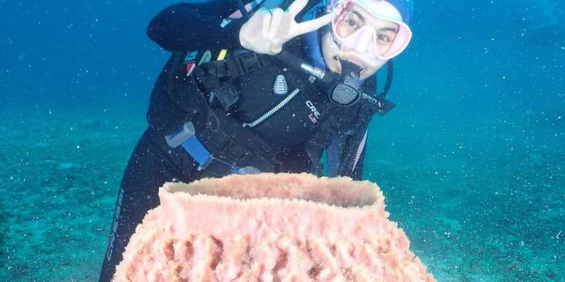Boracay: Introduction to Scuba Diving Experience - Your first underwater session: typical 6m for beginners, up to 12m max