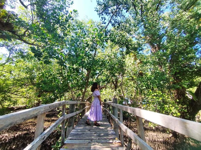 Camiguin: White Island Mantigue Island Exploration PRIVATE - Stop 3, Katunggan Mangrove Park: Photos, Shade, and a Wooden Bridge