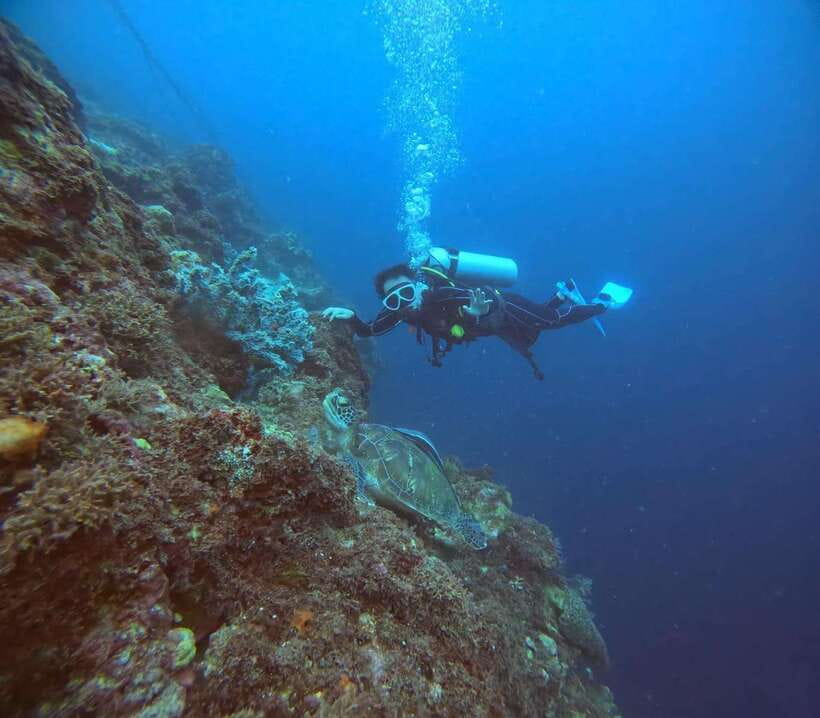 Cebu: Beach Scuba Diving Experience - FAQ