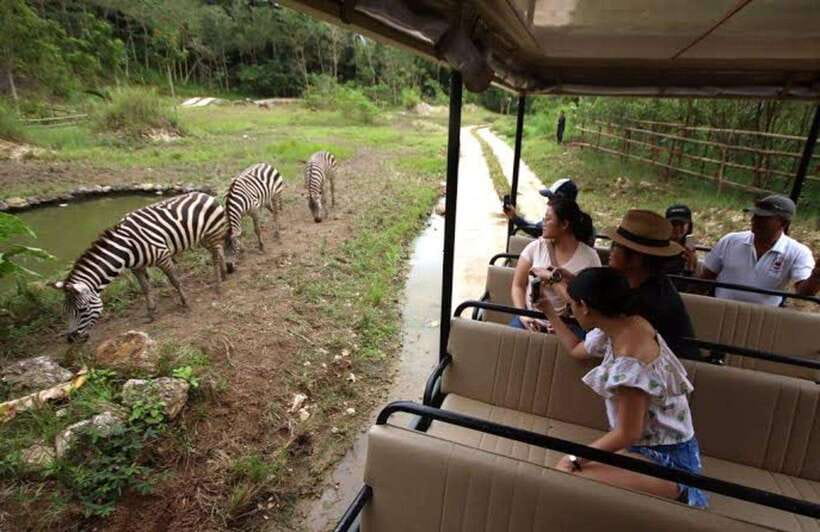 Cebu:Cebu Safari Adventure Park Day Trip - Scheduled Animal Shows: The Times That Can Make or Break Your Day