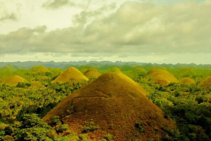 Cebu City: Bohol Countryside Tour with River Cruise Lunch - Loboc Riverwatch Floating Resto Cruise: Lunch, Live Music, and What to Watch For