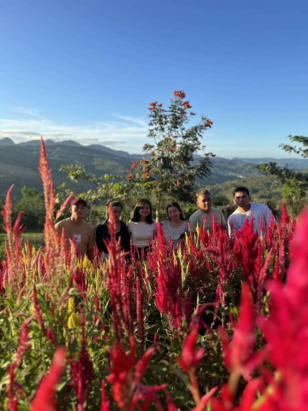 Cebu: City Highlights with Sirao Flower Garden Visit - Pickup, Van Timing, and the Shared-Tour Reality