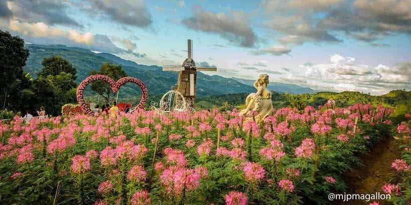 Cebu City: Historical, Local Cuisine & Mountain Guided Tour - Guide quality, and why one or two issues are worth taking seriously