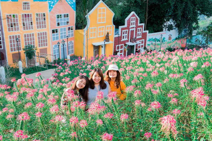 Cebu City Tour: Private Tour - Taoist Temple and Sirao Garden, a change of mood