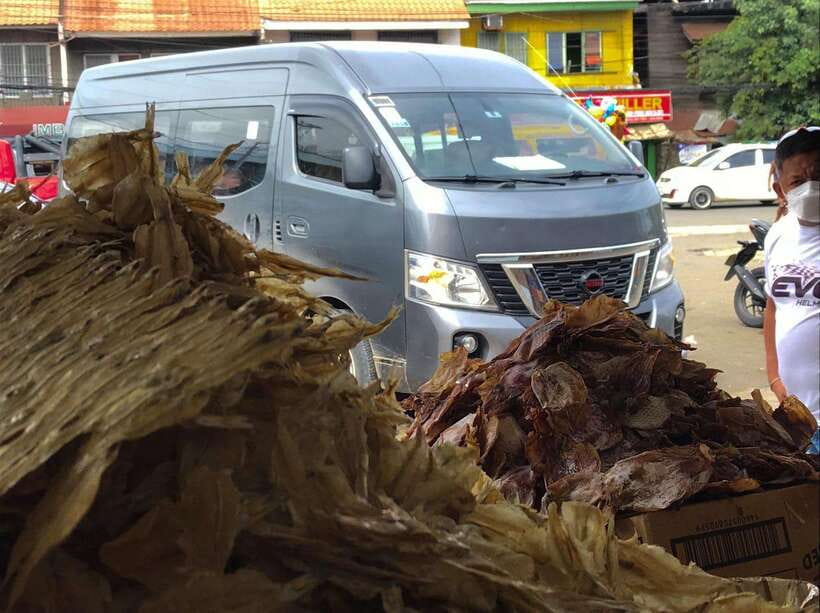 Cebu City Tour: Private Tour - Timing, pacing, and how to make the most of 8 hours