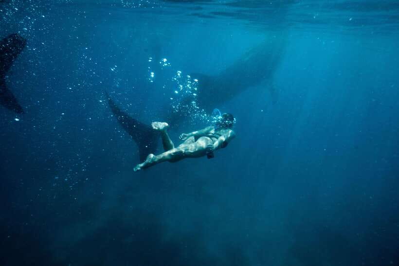 Cebu City: Whale Shark Swimming & Kawasan Falls Canyoneering - Key things that make this tour work
