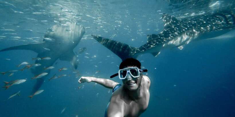 Cebu City: Whale Shark Swimming & Kawasan Falls Canyoneering - Badian Canyoneering: 30-Foot Jumps, Slides, and Real Safety Gear