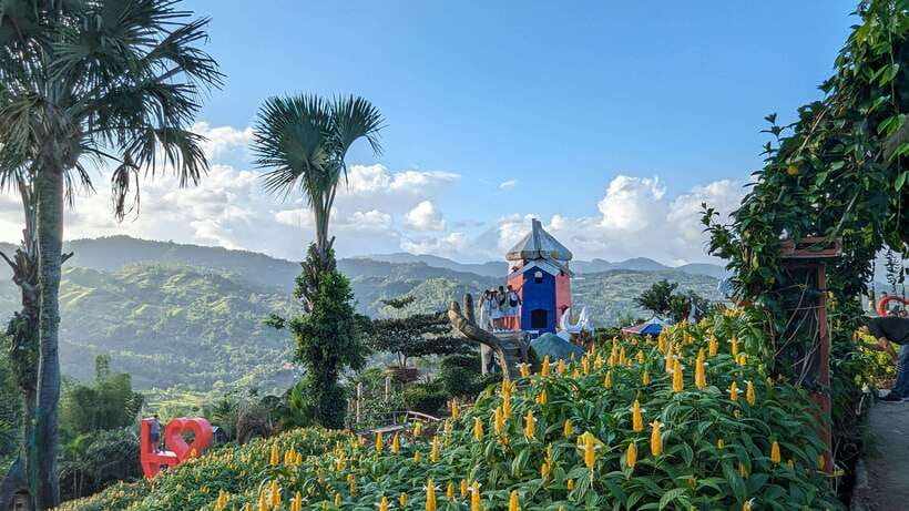 Cebu City with Sirao Garden Half Day Tour - Why this half-day order works so well