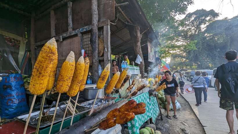 Cebu City with Sirao Garden Half Day Tour - Fort San Pedro: Spanish-era fortress and sea views