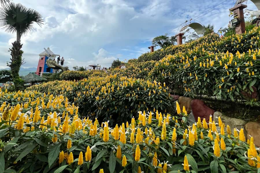 Cebu: Highlands Guided Tour w/ Hotel Pickup - Key things to know before you go