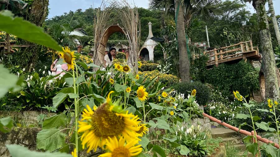 Cebu: Highlands Guided Tour w/ Hotel Pickup - Price and value: $47 with pickup, drop-off, and tickets