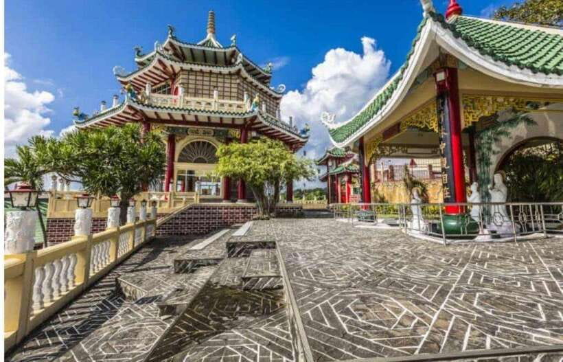 Cebu Highlands: Half-Day Escape with Optional Lunch - Sirao Garden: Cebu’s Little Amsterdam and the photo-stop rhythm