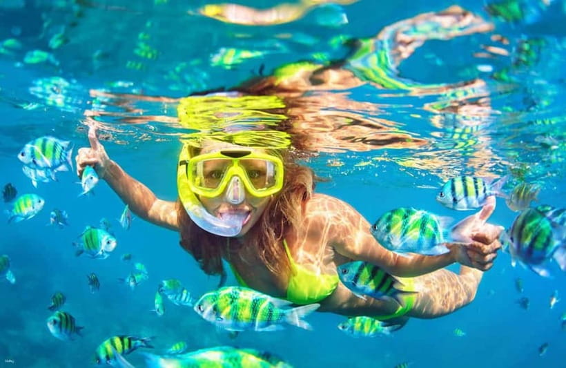 Cebu: Island Hopping 3 Islands + San Vicente Fish + Lunch - Key things I’d bet you’ll care about