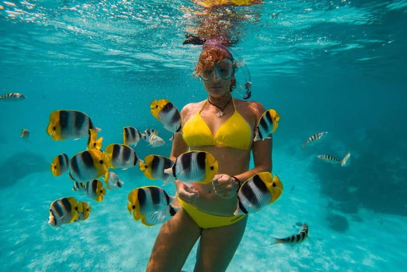 Cebu: Island Hopping 3 Islands + San Vicente Fish + Lunch - Gilutungan Island: snorkel the reserve, skip the island walk