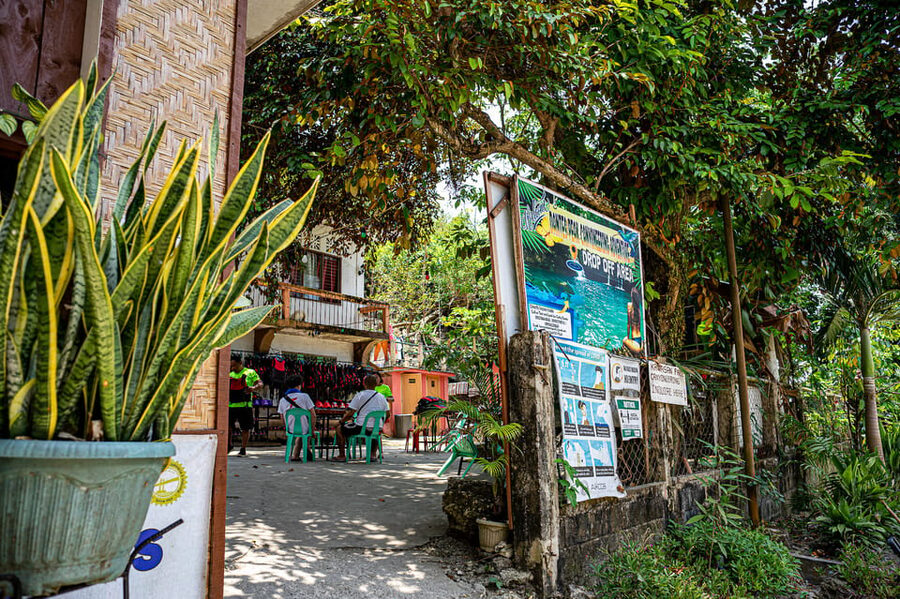 Cebu: Kawasan Canyoning, Moalboal Snorkeling, & Turtles Tour - Who this tour fits best, and who should skip it