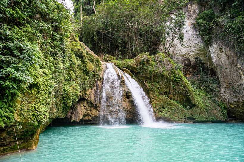 Cebu: Kawasan Canyoning, Moalboal Snorkeling, & Turtles Tour - Moalboal snorkeling: turtles, sardines, and stepping in from shore