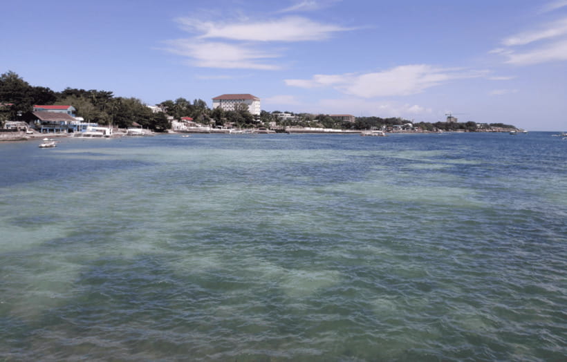 Cebu & Lapu-Lapu City Tour With Lunch at House of Lechon - Price and logistics, what $168 buys you and what you should budget next