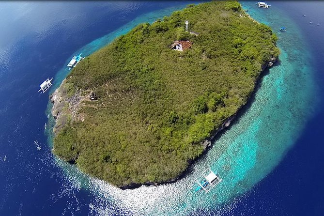 Cebu Moalboal Beach, Sardine Run, Sea Turtle Viewing + Canyoneering Tour - Moalboal Beach Time, Plus a Real Sense of Breaks
