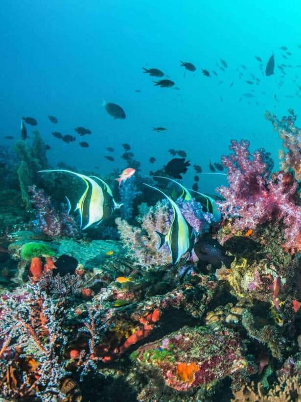 Cebu: Moalboal Island Hopping and Mantayupan Falls Day Trip - What to Pack So You Actually Enjoy the Day