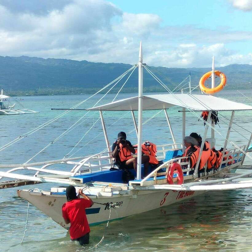 Cebu: Moalboal Island Hopping & Kawasan Falls Adventure - The Sardine Run spectacle: what to expect on the water