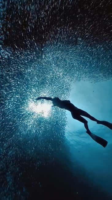 Cebu: Moalboal Sardine Run & Kawasan Falls Canyoneering - Quick take: what makes this day tour click