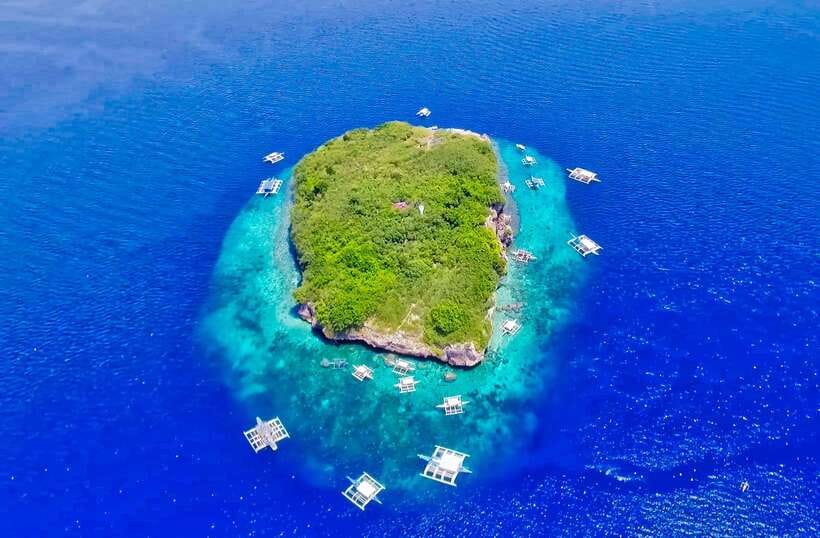 Cebu: Moalboal Sardines and Turtles Snorkeling Tour - Quick highlights to know before you go