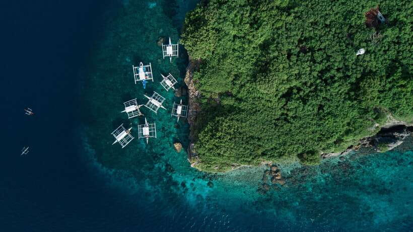 Cebu: Moalboal Sardines and Turtles Snorkeling Tour - Turtle time at Talisay Point: what you’re aiming for