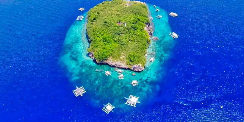 Cebu: Moalboal Sardines and Turtles Snorkeling Tour - What to pack, and what to skip