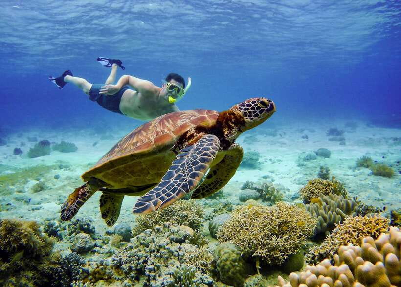 Cebu: Moalboal Sardines & Turtle Snorkeling and Canyoneering - Pickup to Drop-off, How the Long Schedule Actually Fits