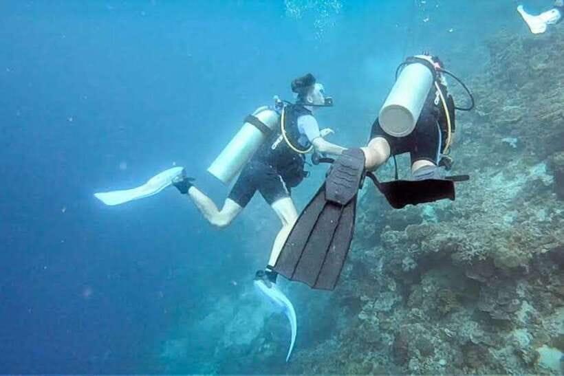 Cebu: Moalboal Scuba Diving, Sardines Run & Pescador Snorkel - Moalboal sardine run: that silver-wall moment
