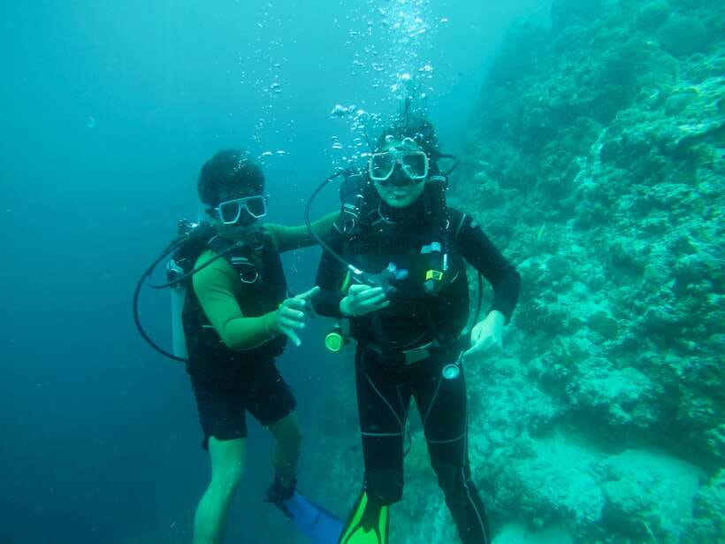 Cebu: Moalboal Scuba Diving with Sardines and Turtle Snorkel - What $115 Covers on an 11 Hour Cebu Sea Day