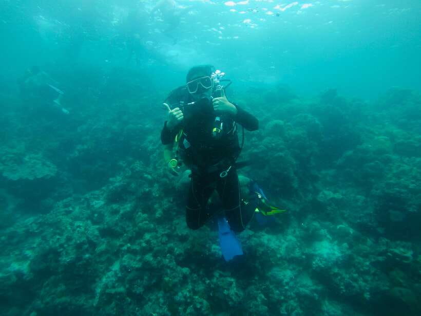 Cebu: Moalboal Scuba Diving with Sardines and Turtle Snorkel - Reef Exploration and Camera Time: What You Might See